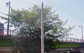 建柱(付帯工事)